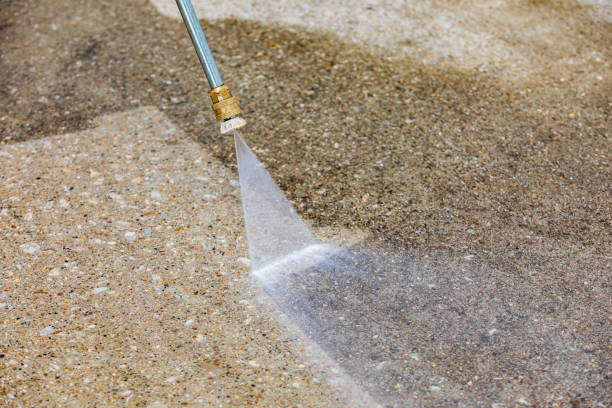 Best Sidewalk and Walkway Cleaning  in Platte City, MO