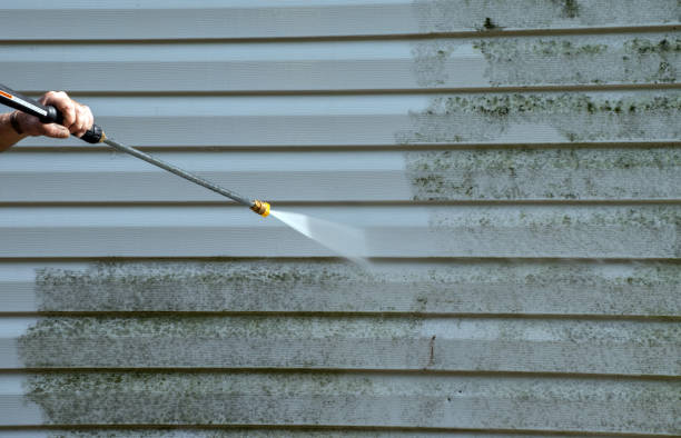 Best Building Exterior Washing  in Platte City, MO